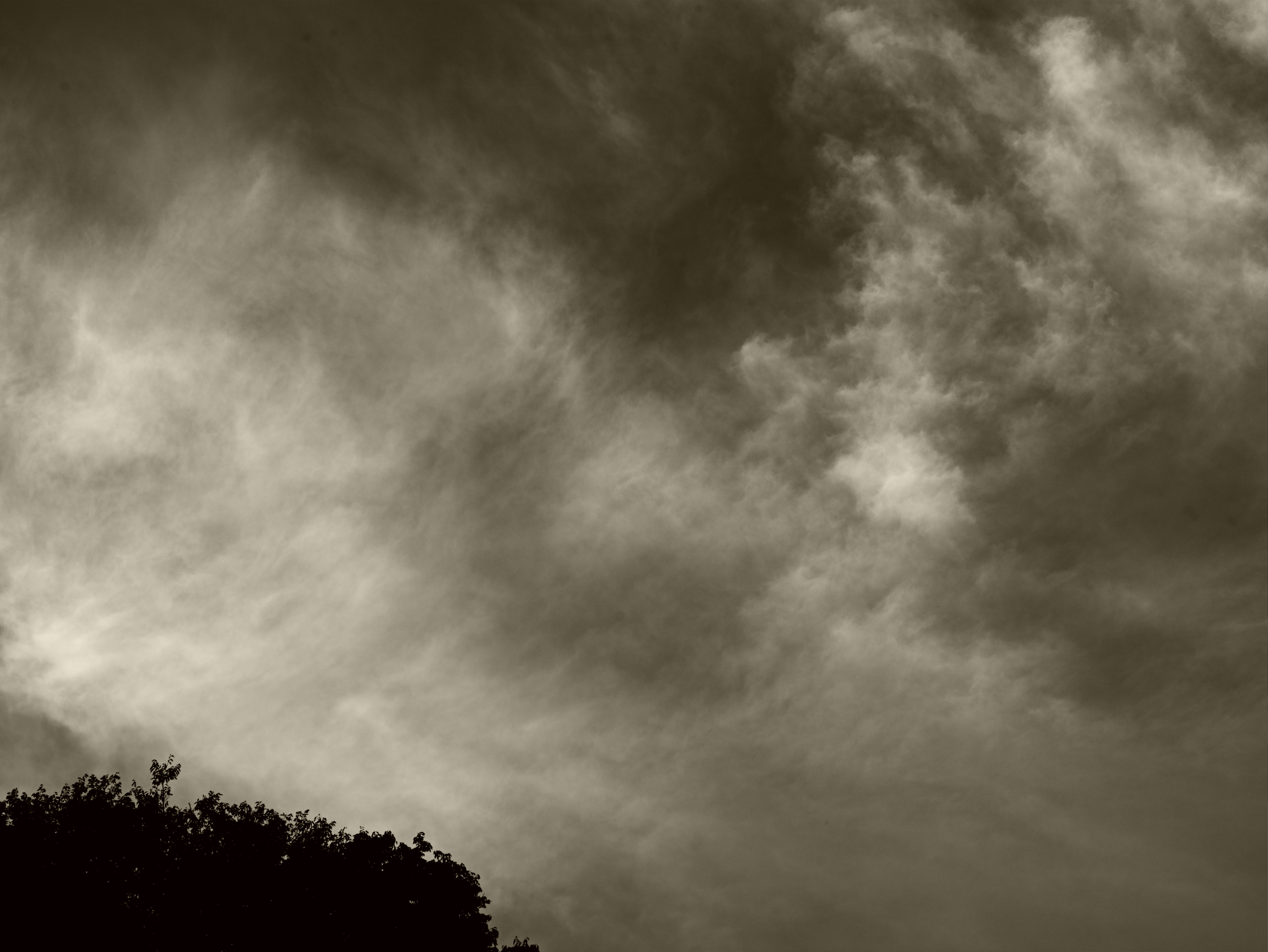 夕暮れの空に広がる雲と木々のシルエット