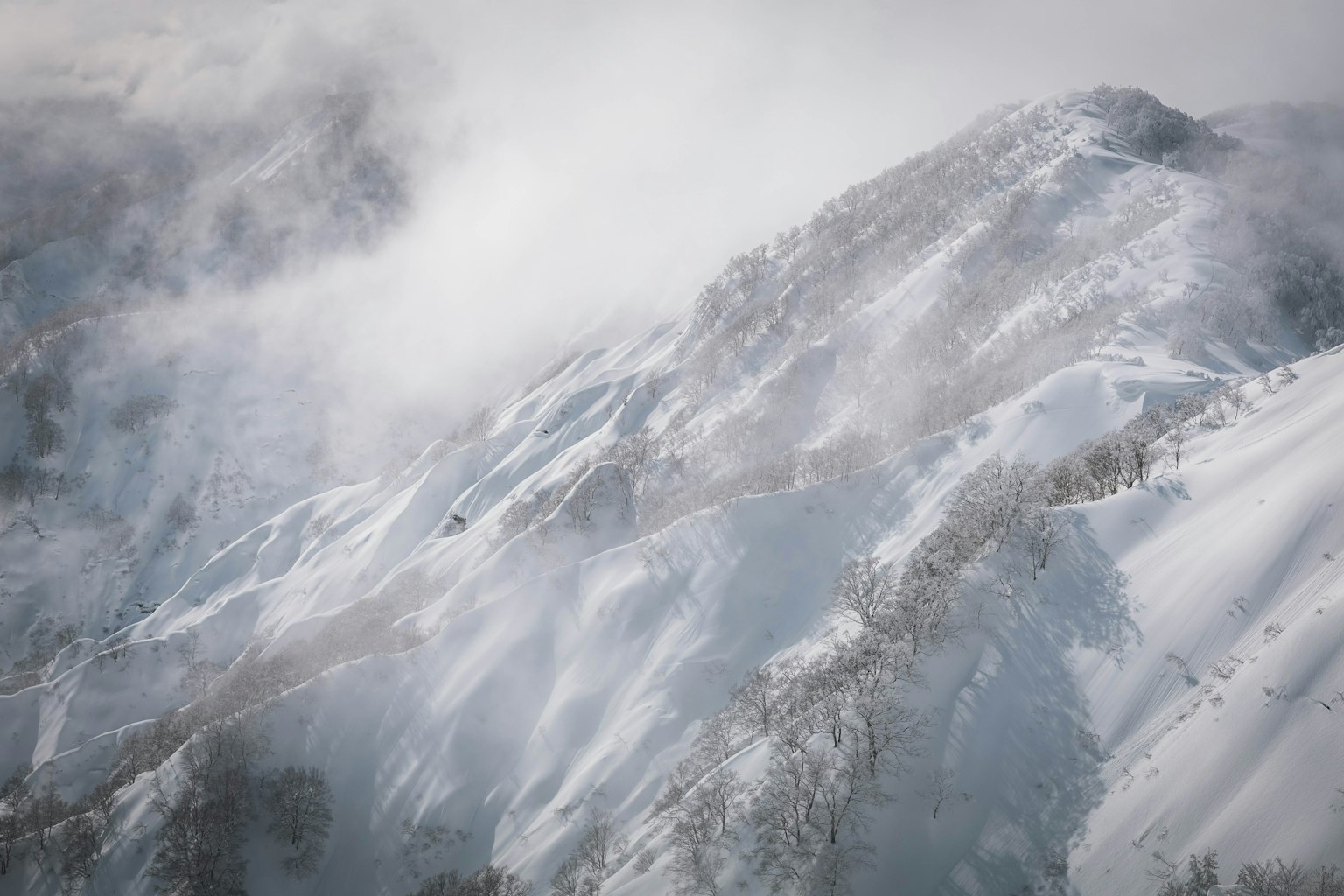 Paysage de montagne enneigé avec une brume éthérée