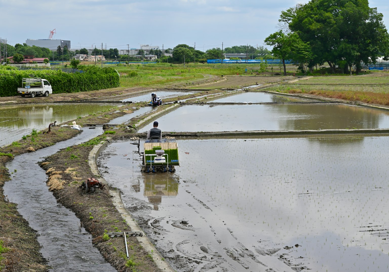 Personas trabajando en campos de arroz con campos inundados