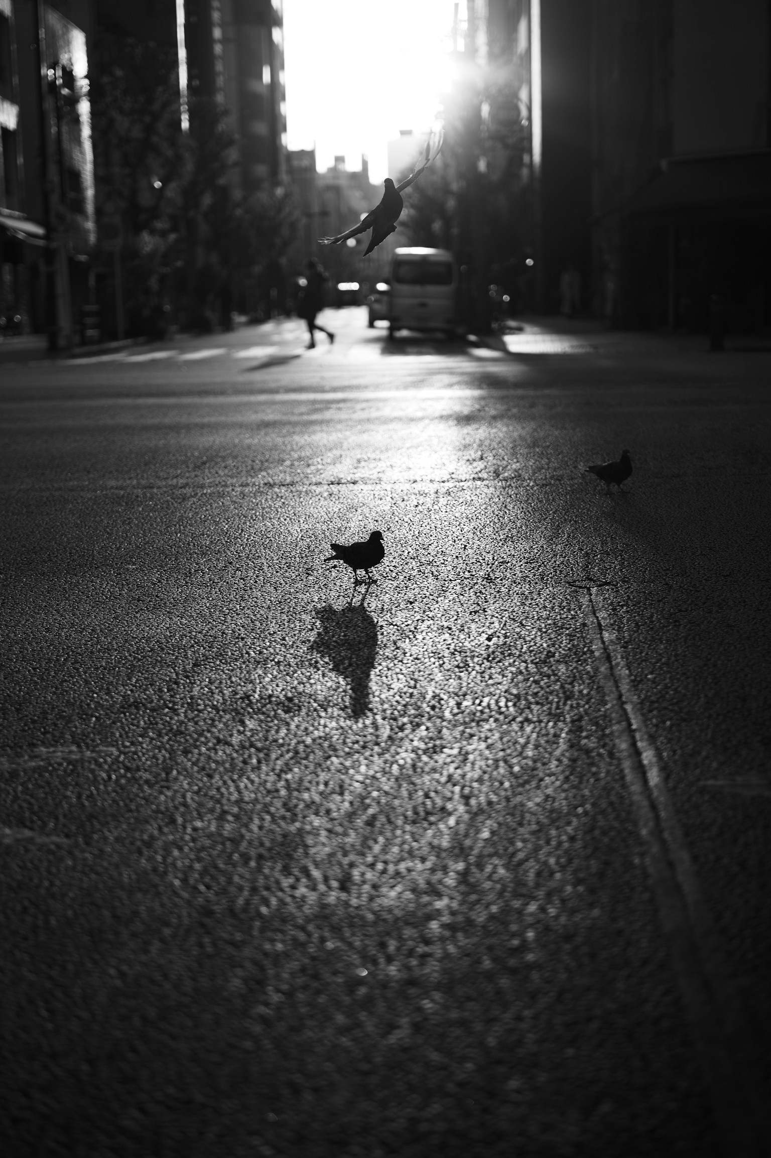 photo-8bW9t5O0SE6oGVhws8Dd-image
