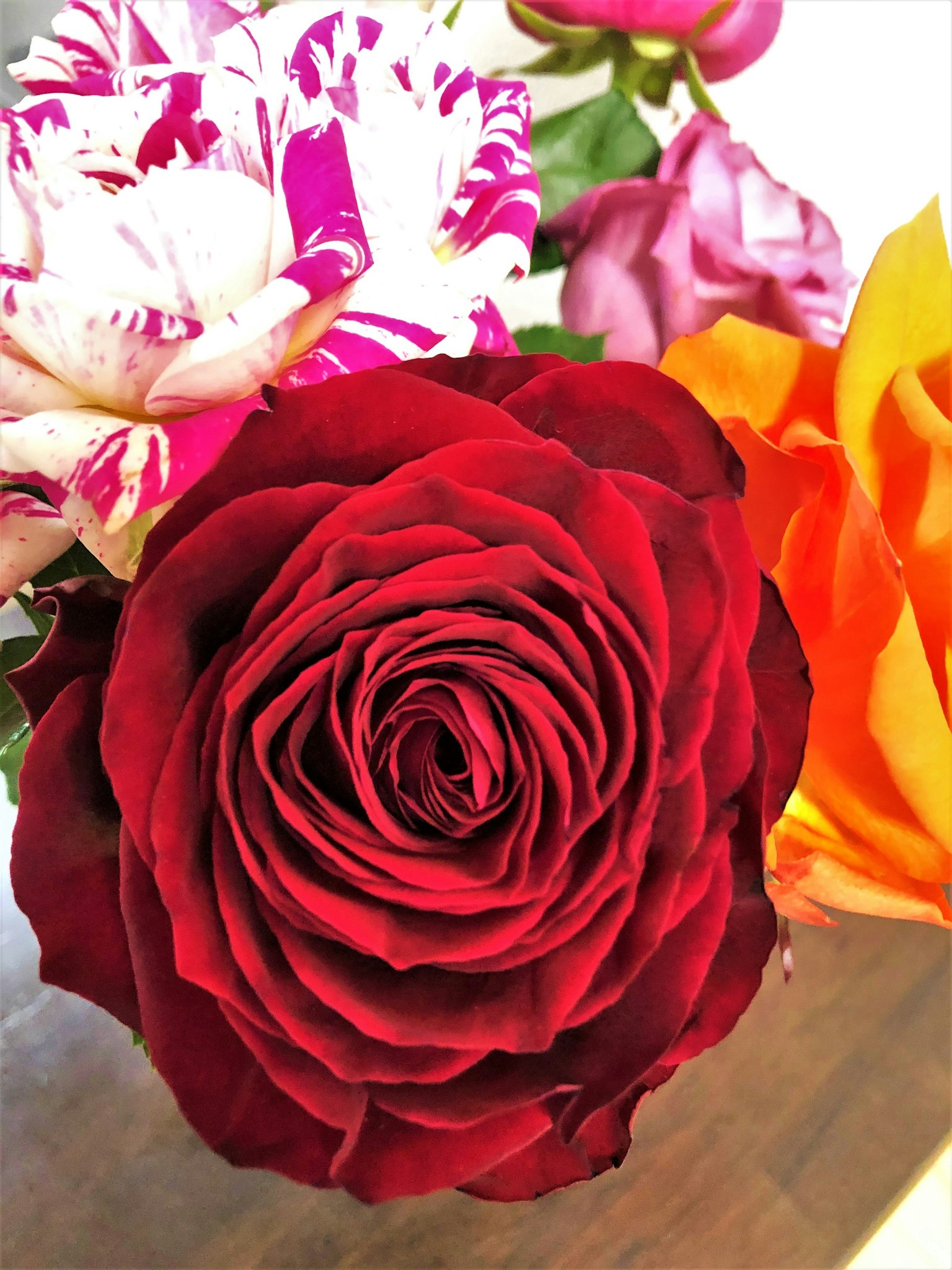 Gros plan d'une rose rouge entourée de fleurs colorées