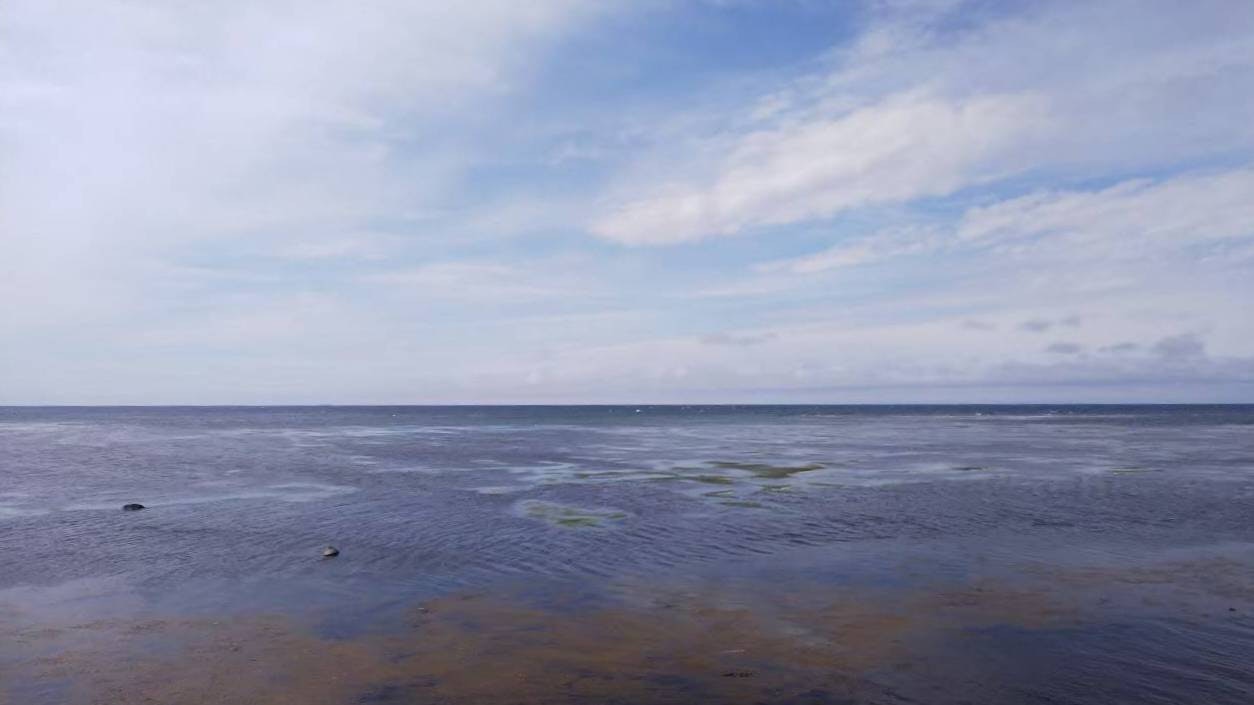北海道の海を望む広い砂浜と空