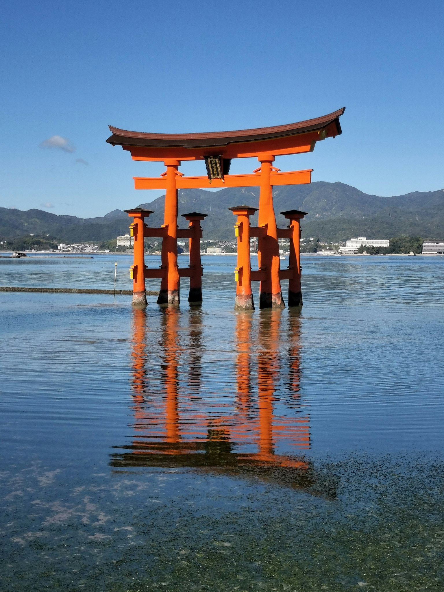 Une photo de la porte Torii emblématique du sanctuaire d'Itsukushima se tenant dans des eaux calmes sous un ciel bleu clair