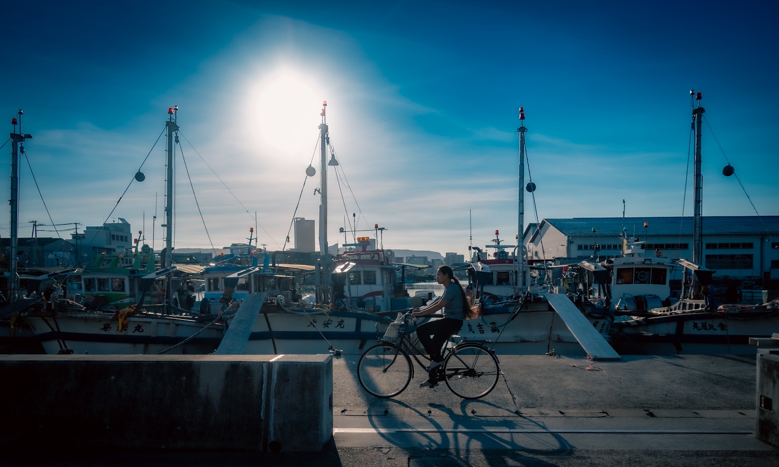 Una persona montando una bicicleta junto a un puerto con barcos bajo un cielo azul