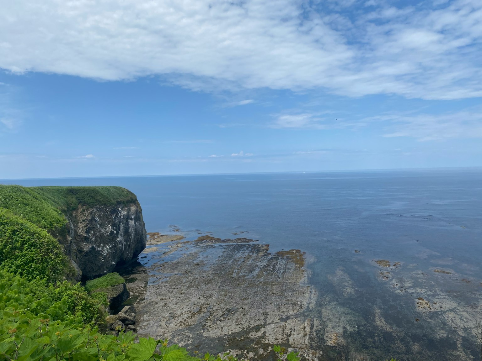 Panoramablick auf das blaue Meer und die grünen Klippen