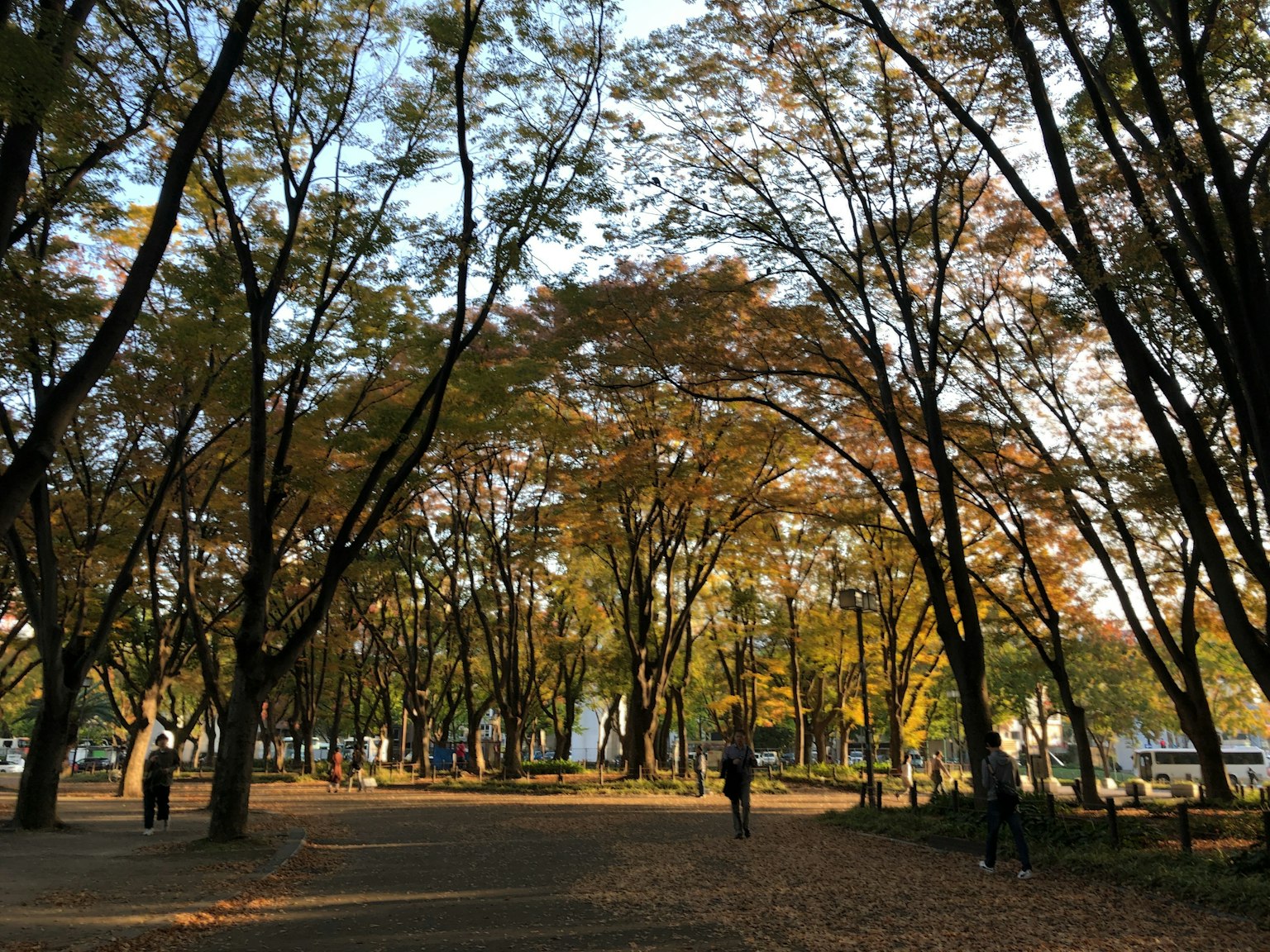 Vista panoramica di un parco con alberi autunnali colorati