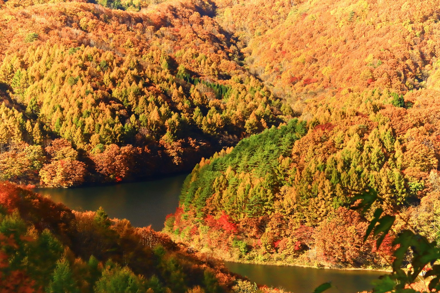Malersicher Blick auf Berge und einen See umgeben von Herbstlaub