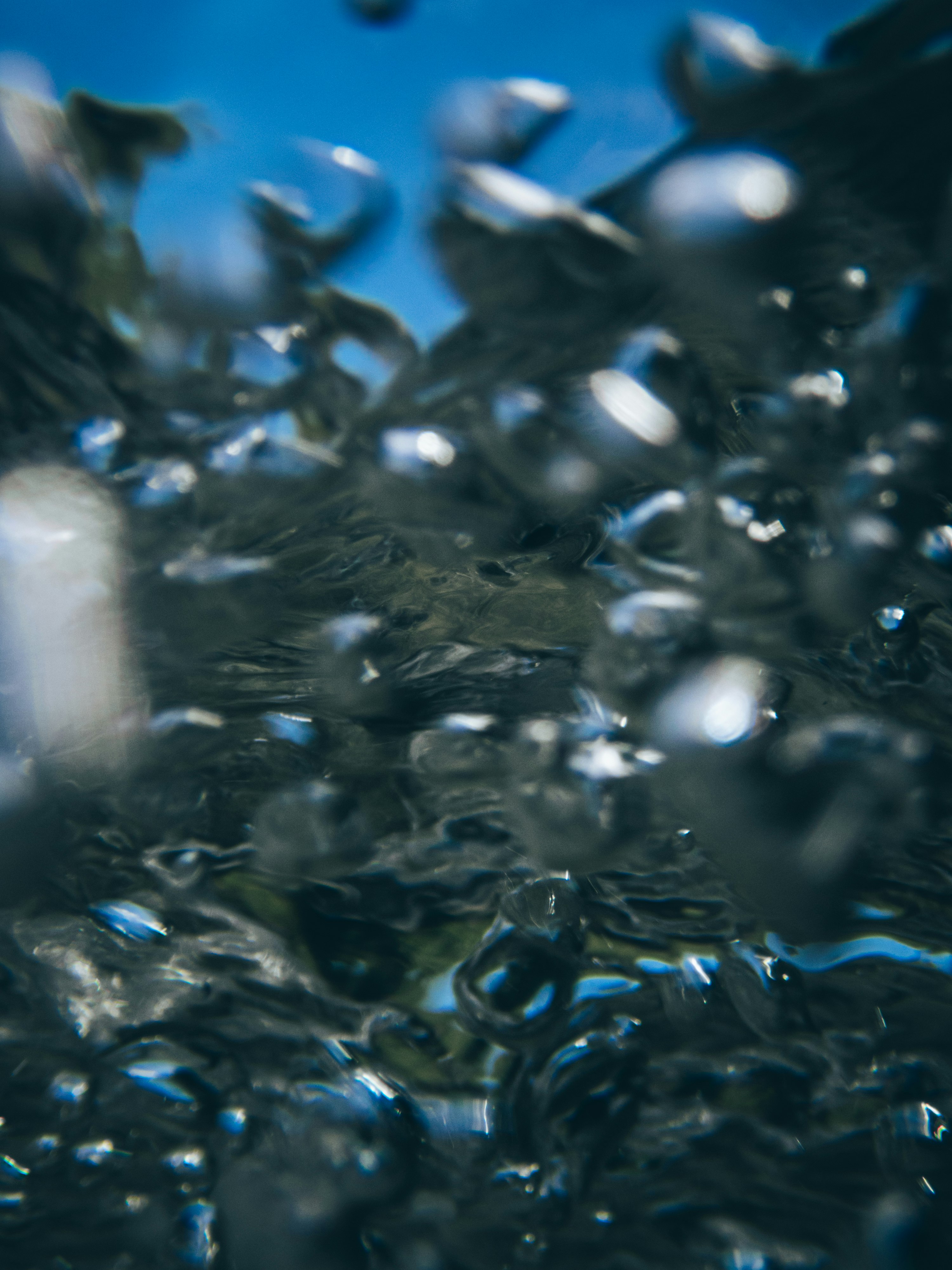 藍色海水中旋轉的成群小魚