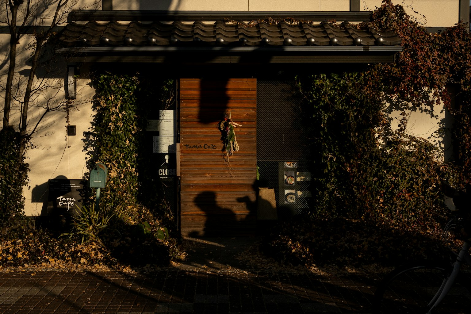 Wooden door surrounded by green vines on a house exterior