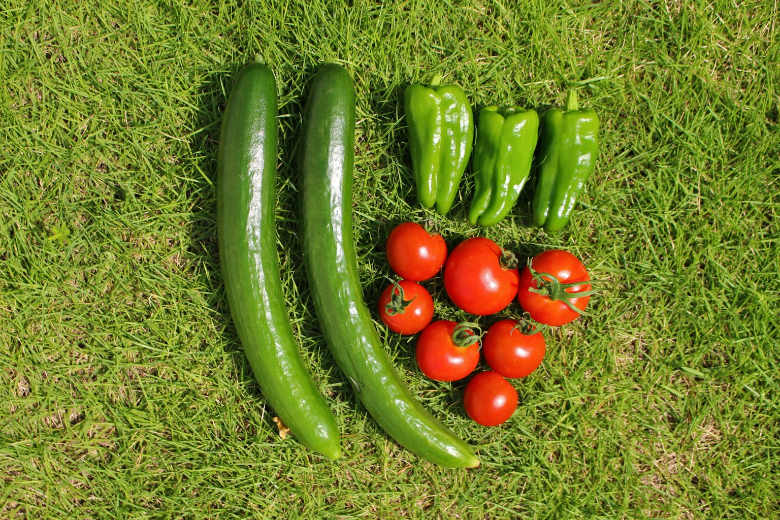 Zwei Gurken und rote Tomaten angeordnet mit grünen Paprika auf grünem Gras