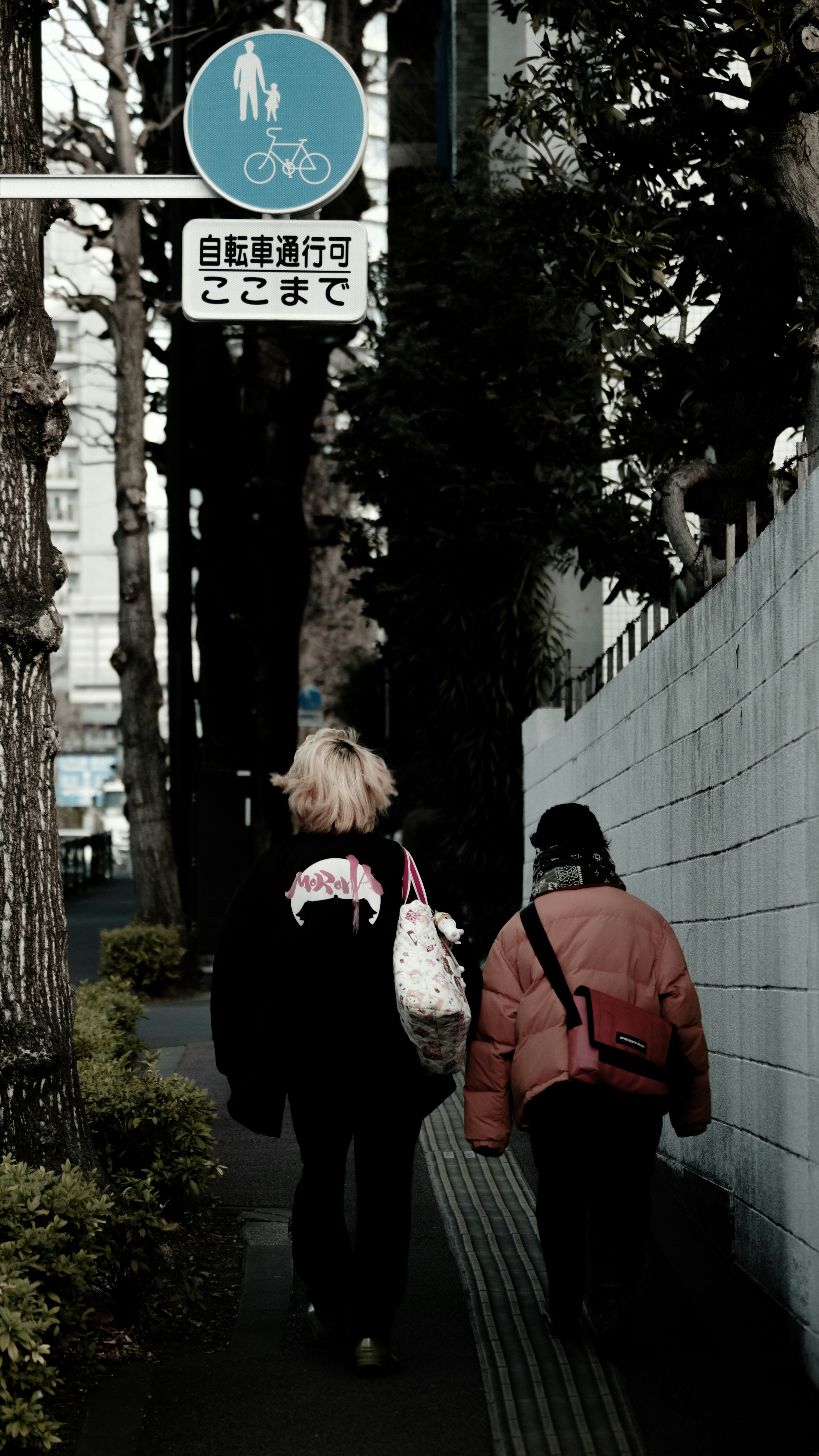 並木道を歩く友人たちの後ろ姿