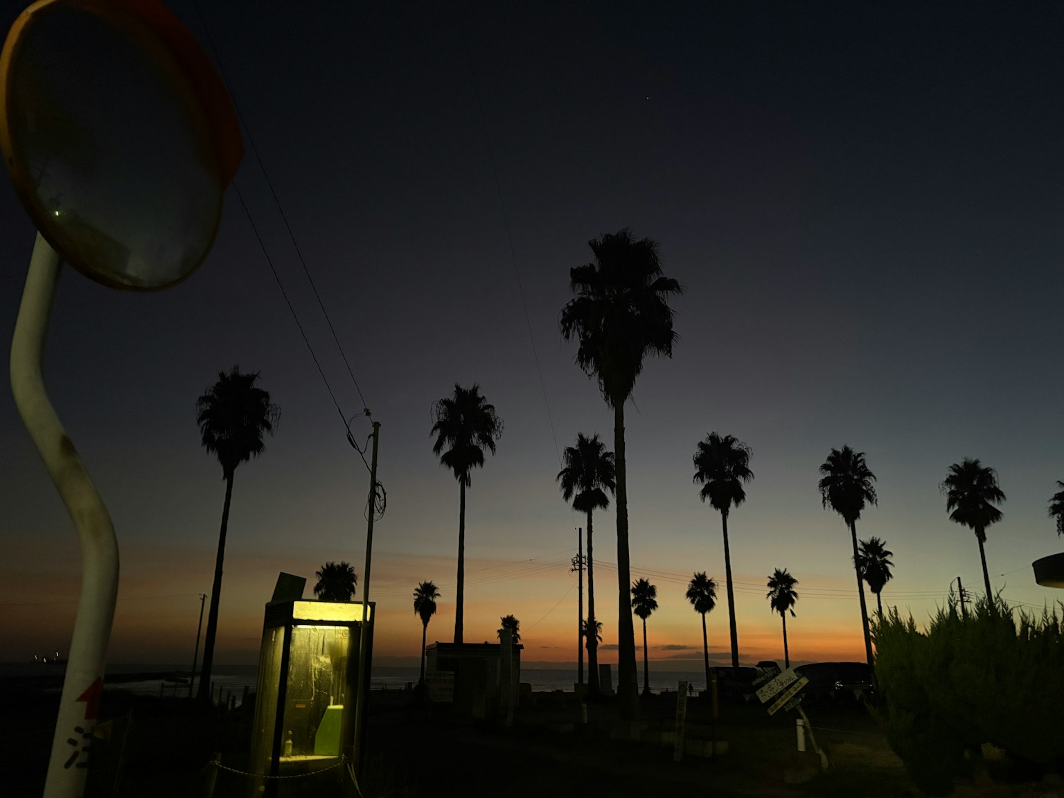 Silhouette of palm trees and a phone booth at dusk by the coast