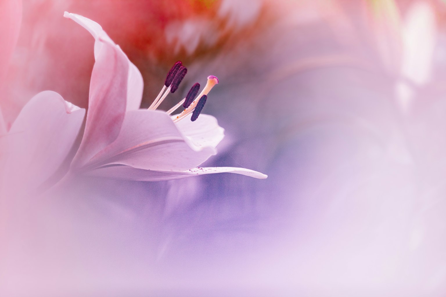 photo-8fxbyNerYp8cH2F3d21m-image