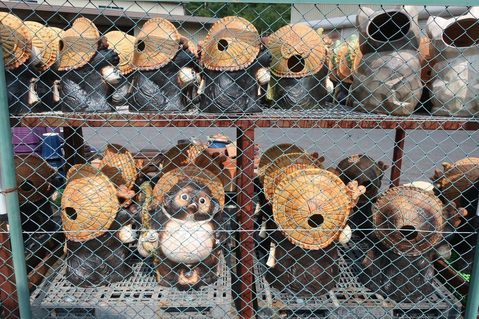 Keramische Tanuki mit Bambushüten auf Regalen ausgestellt