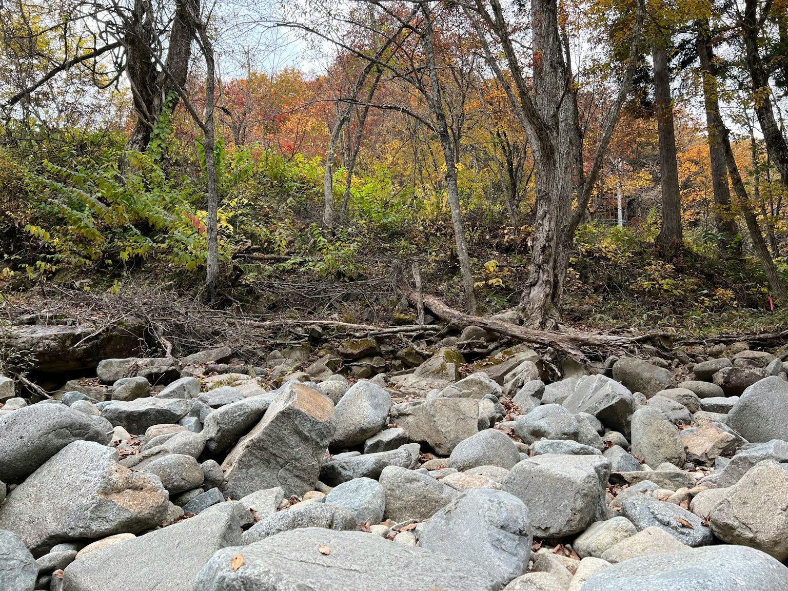 Landschaft mit großen Steinen am Flussufer und herbstlichem Laub