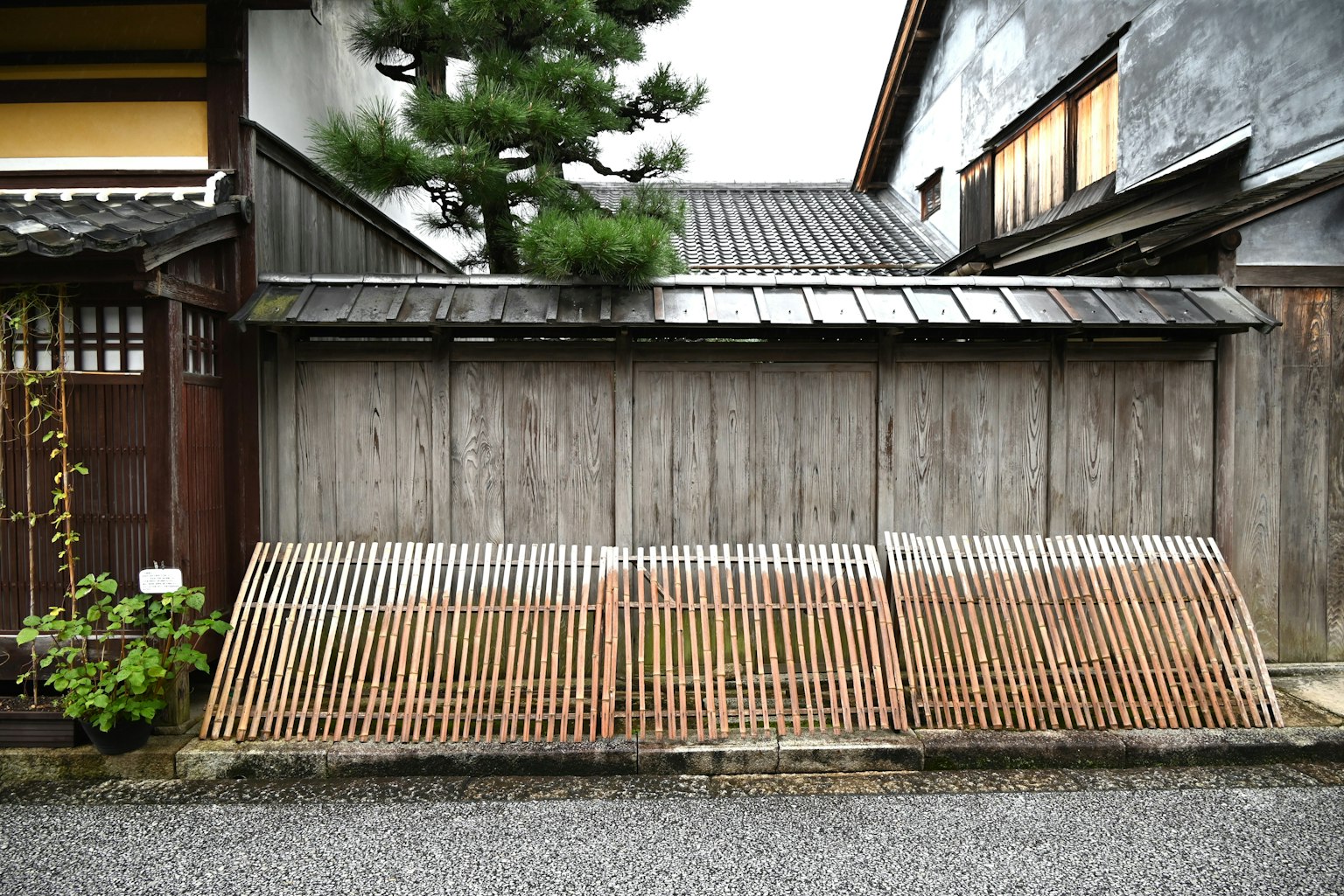 傳統日本建築與木圍欄在寧靜的環境中