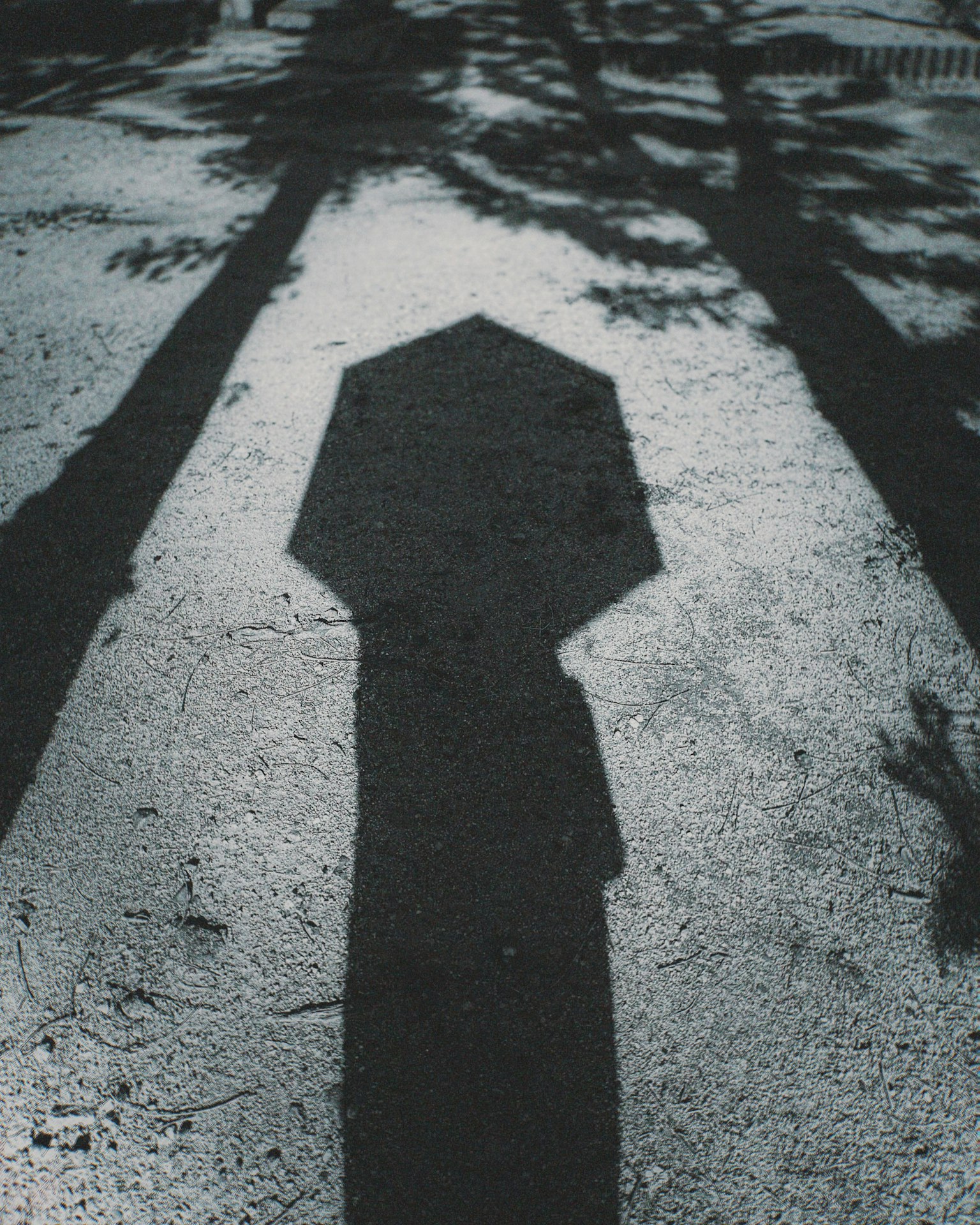 Hexagonal stop sign shadow with tree shadows