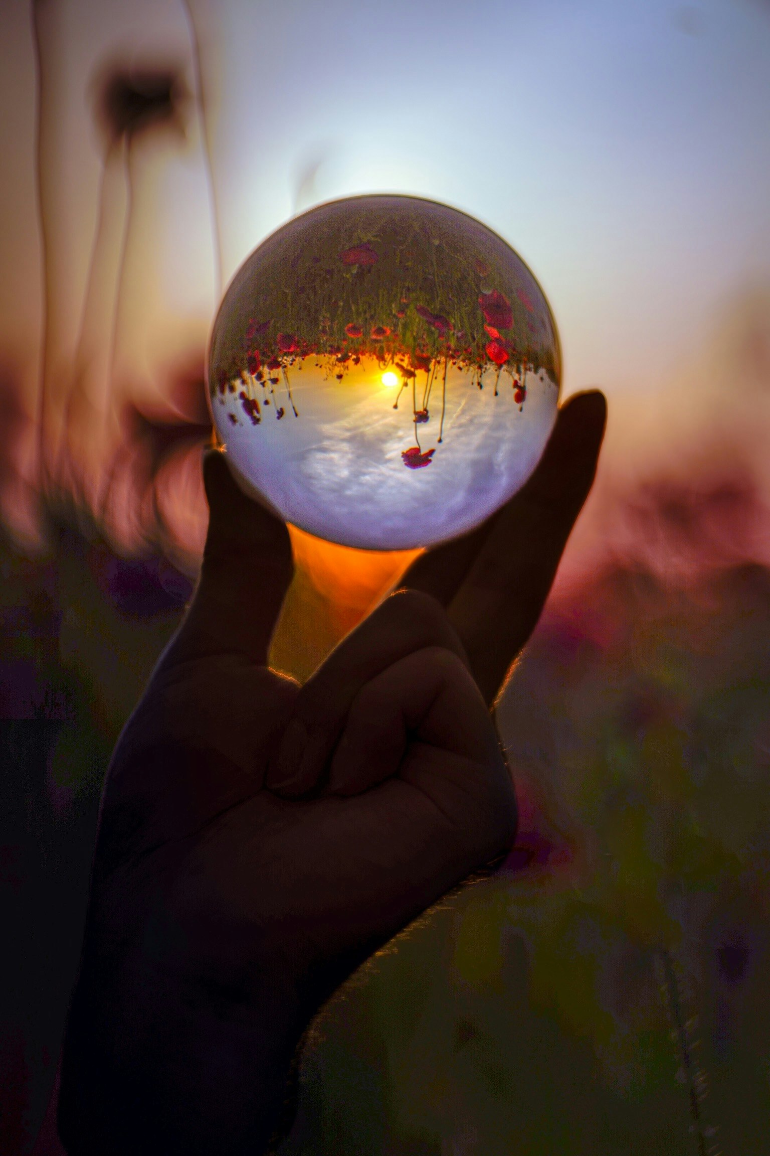 Silhouette of a hand holding a crystal ball against a sunset