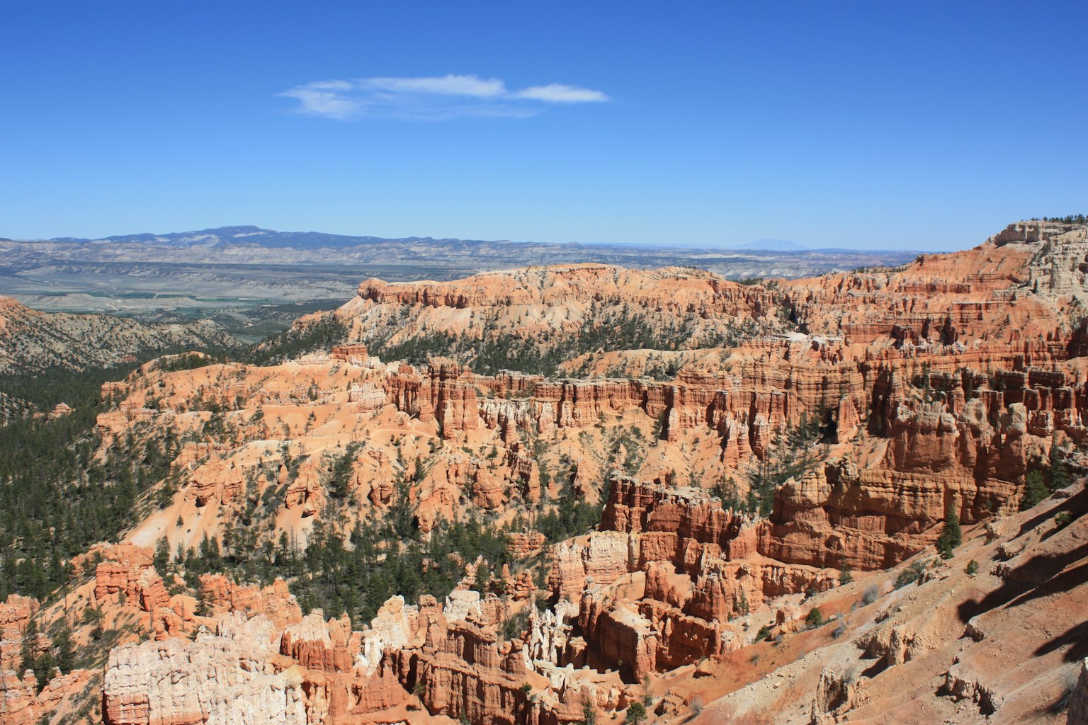 Beeindruckende Landschaft des Bryce Canyon mit rötlichen Felsformationen und grünen Bäumen