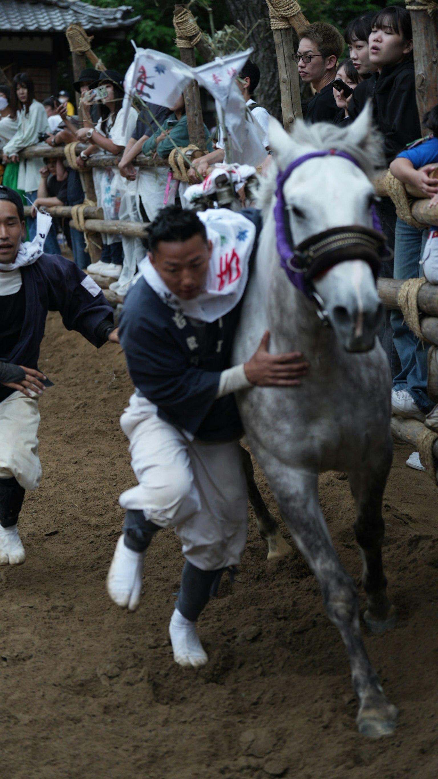 Scena di festival tradizionale con persone che guidano un cavallo bianco