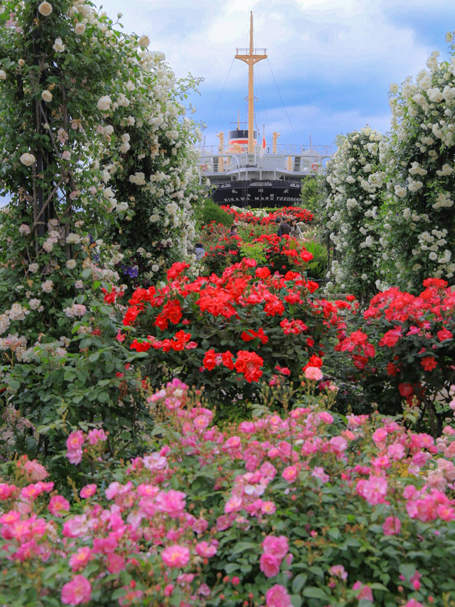 Giardino vibrante pieno di rose in fiore con un albero di una nave sullo sfondo