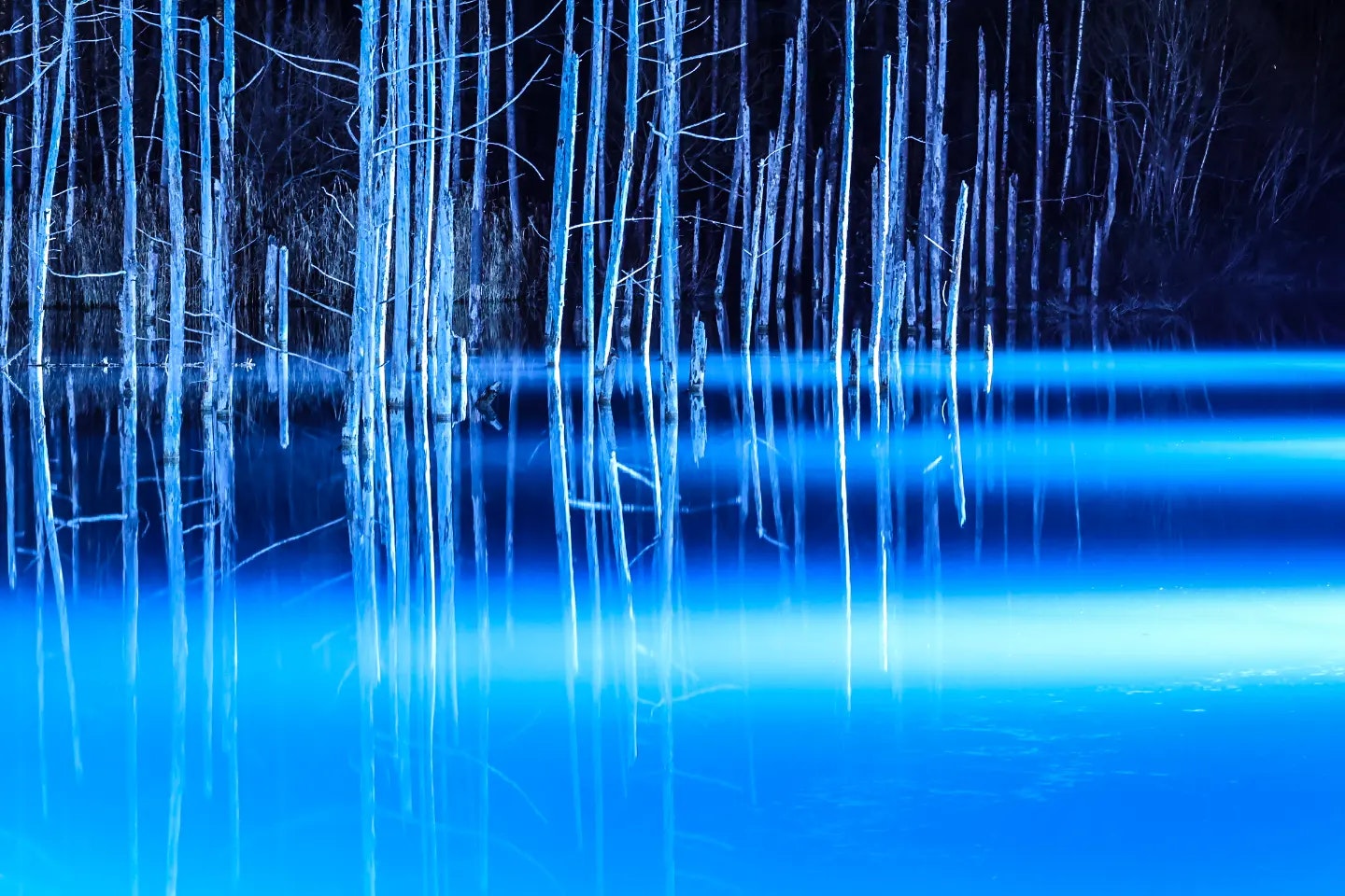 blue pond with reflections of bamboo forest on the water