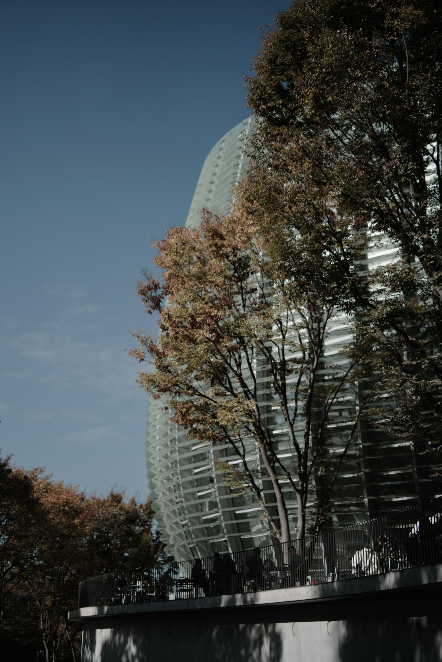 現代玻璃建築的視圖,部分被綠葉樹木遮擋