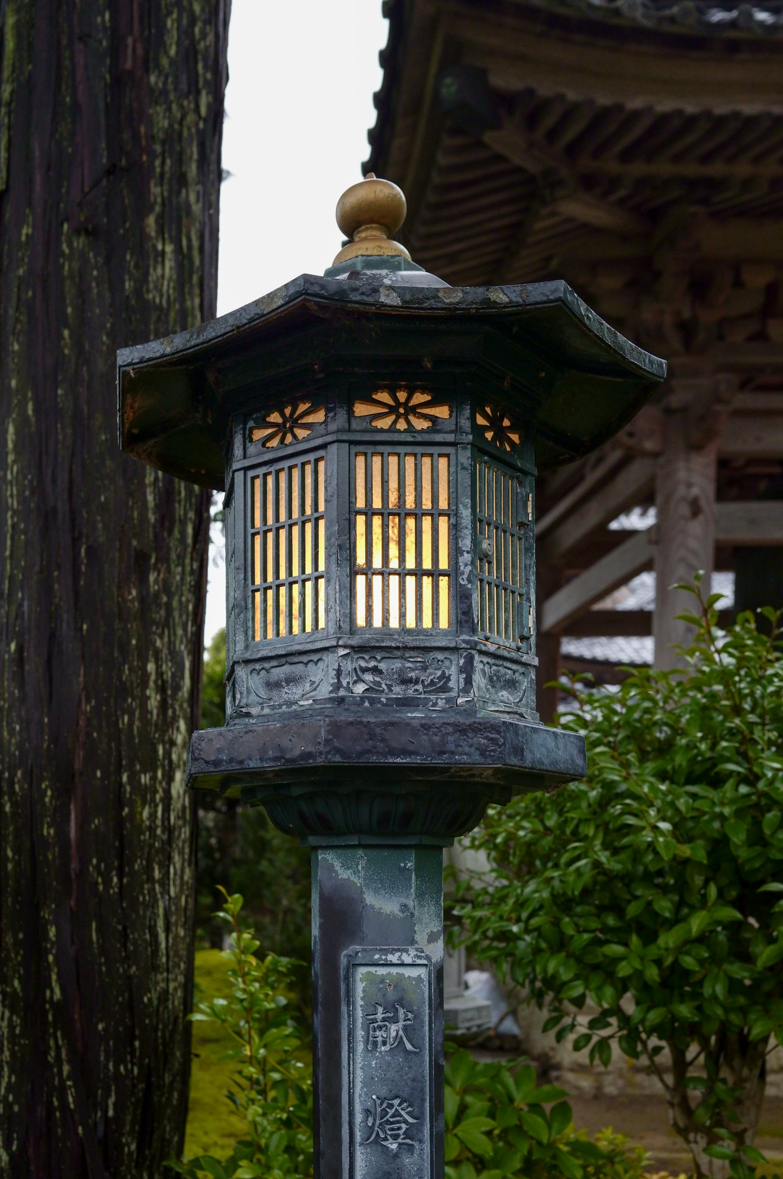 Jolie lanterne en pierre japonaise avec des plantes vertes environnantes
