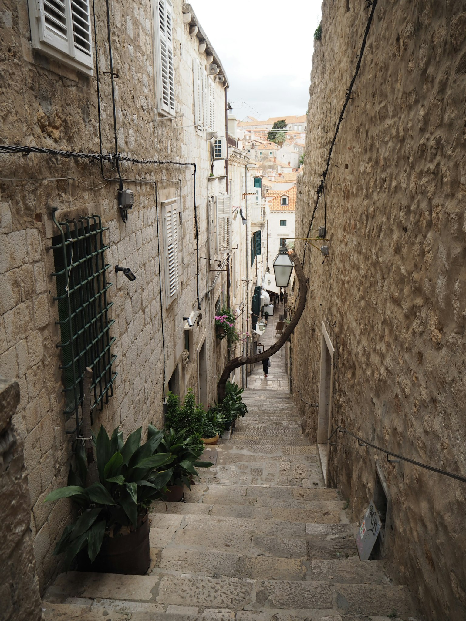 Narrow stone alley with steps and green plants