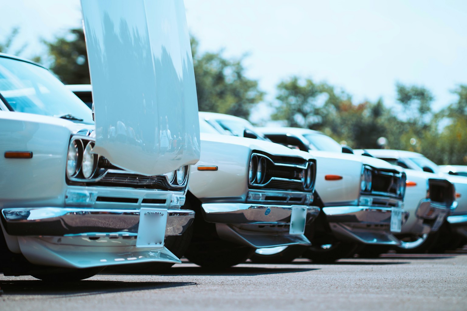 Một hàng xe cổ điển màu trắng với nắp mở