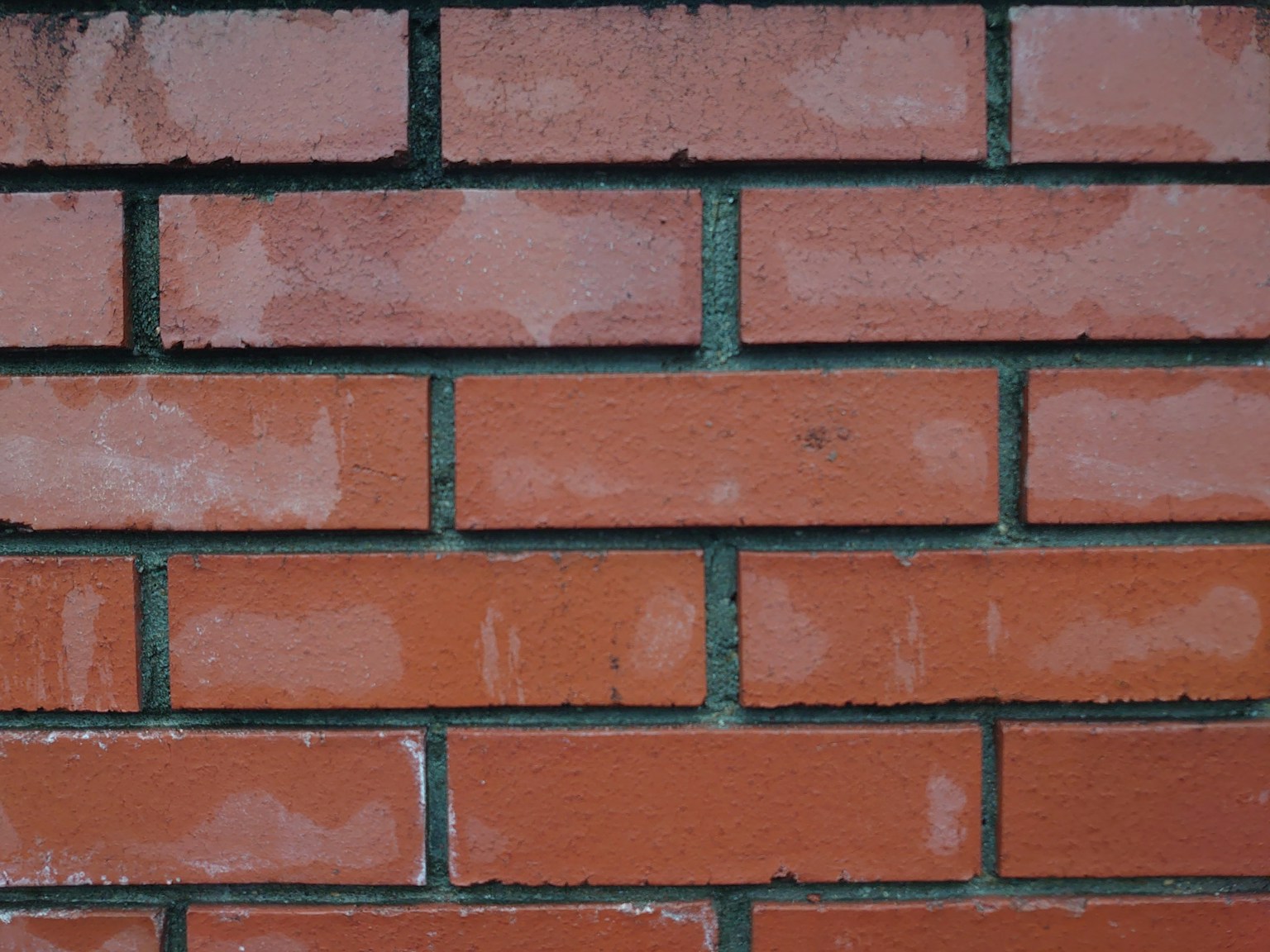 可见红砖墙的纹理