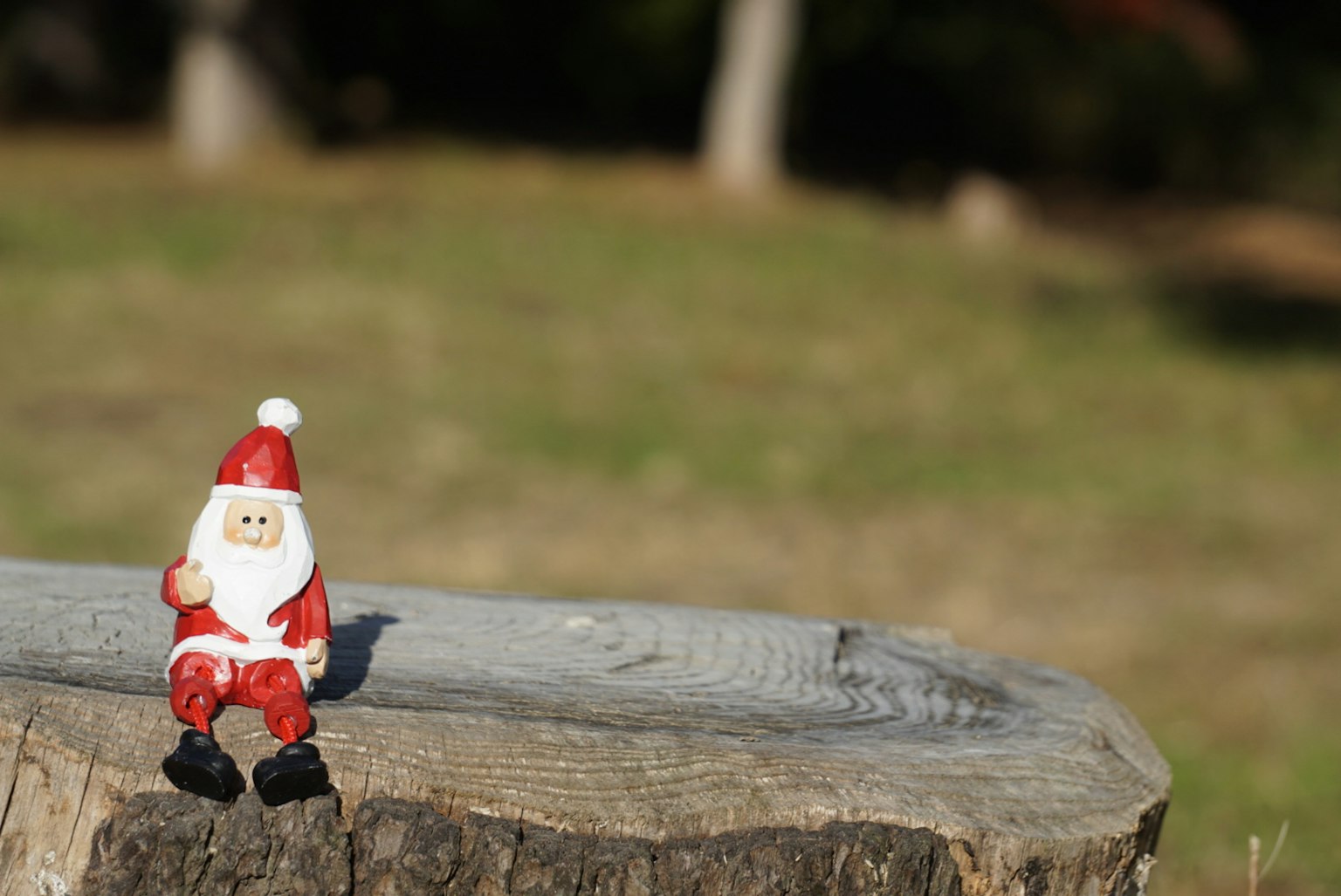 Patung kecil Santa Claus duduk di atas kayu dengan latar belakang rumput hijau