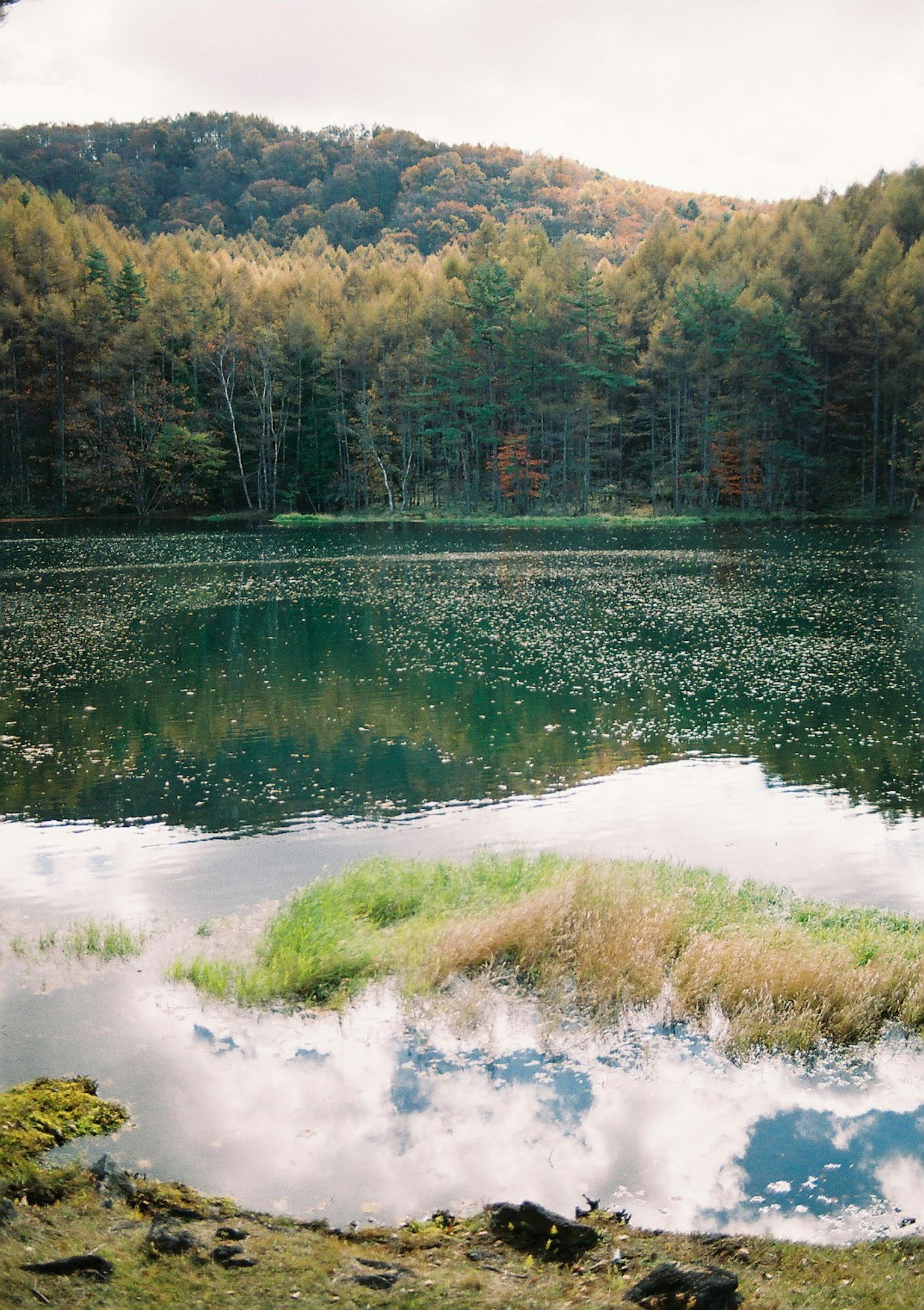 Lac serein entouré de verdure luxuriante et d'arbres