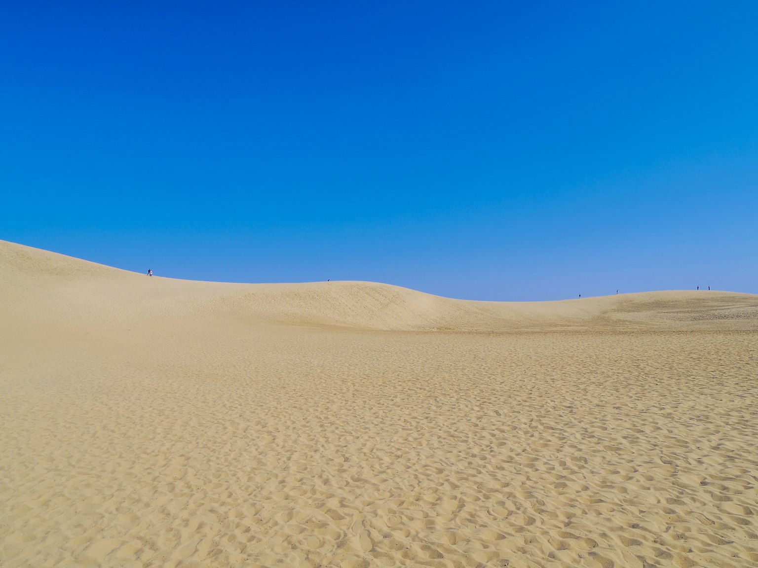 Paysage de dunes de sable sous un ciel bleu clair