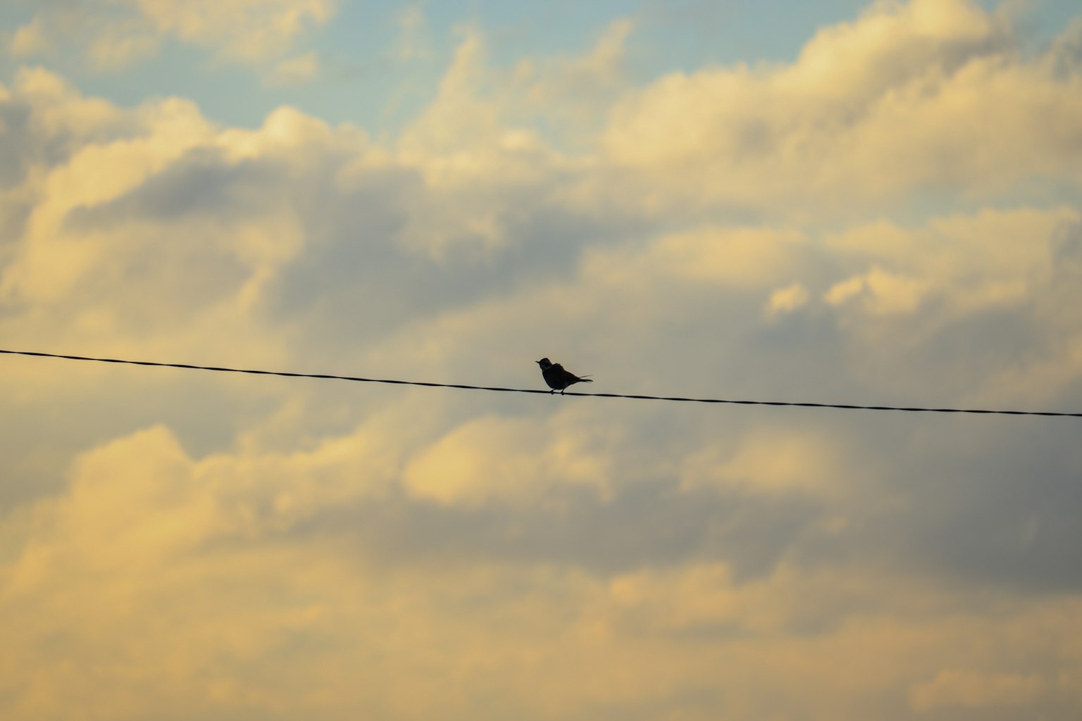 photo-8lMpz3T7Cs4Qky5KcEZ7-image