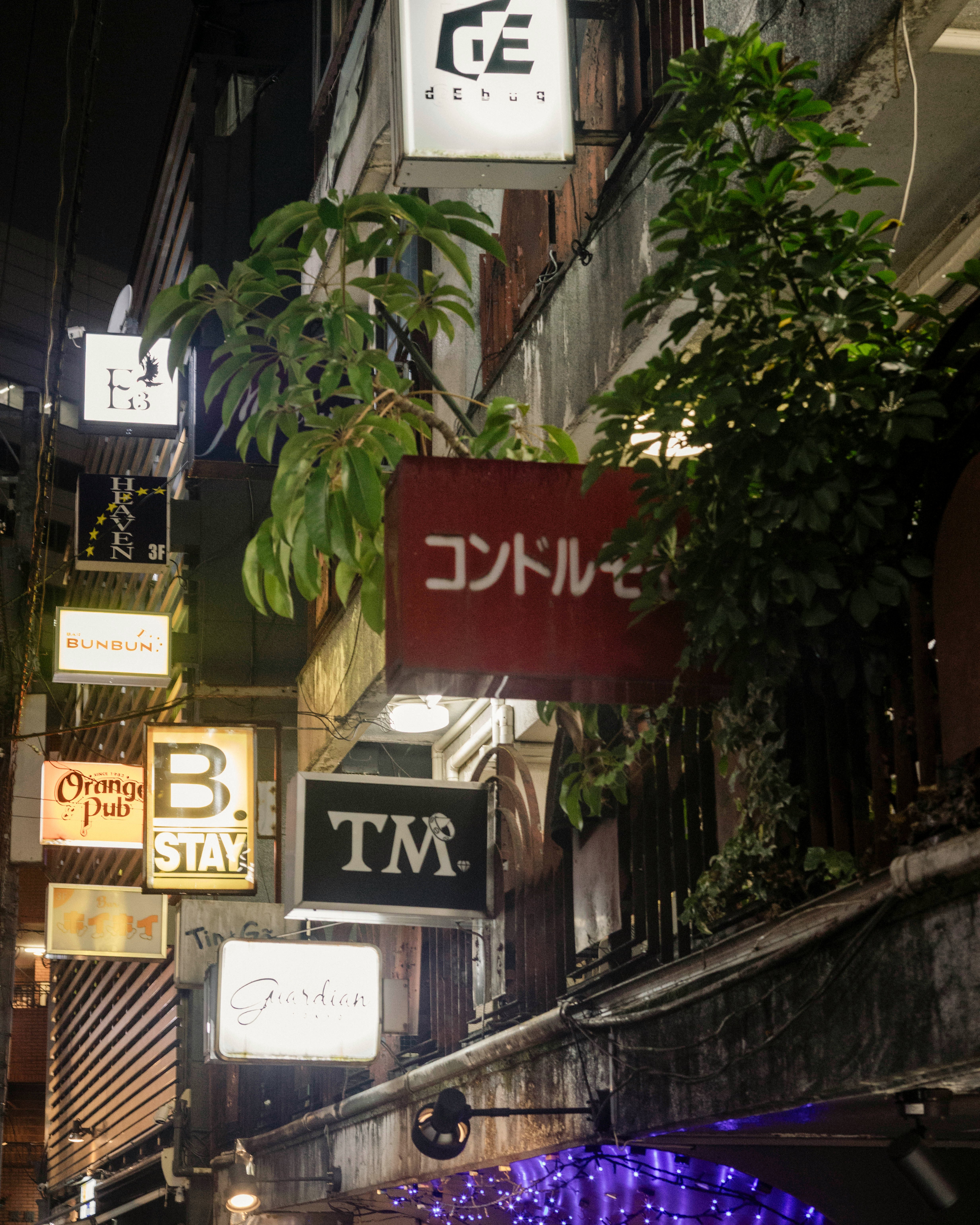 路地の看板と観葉植物が並ぶ夜の商店街の軒先