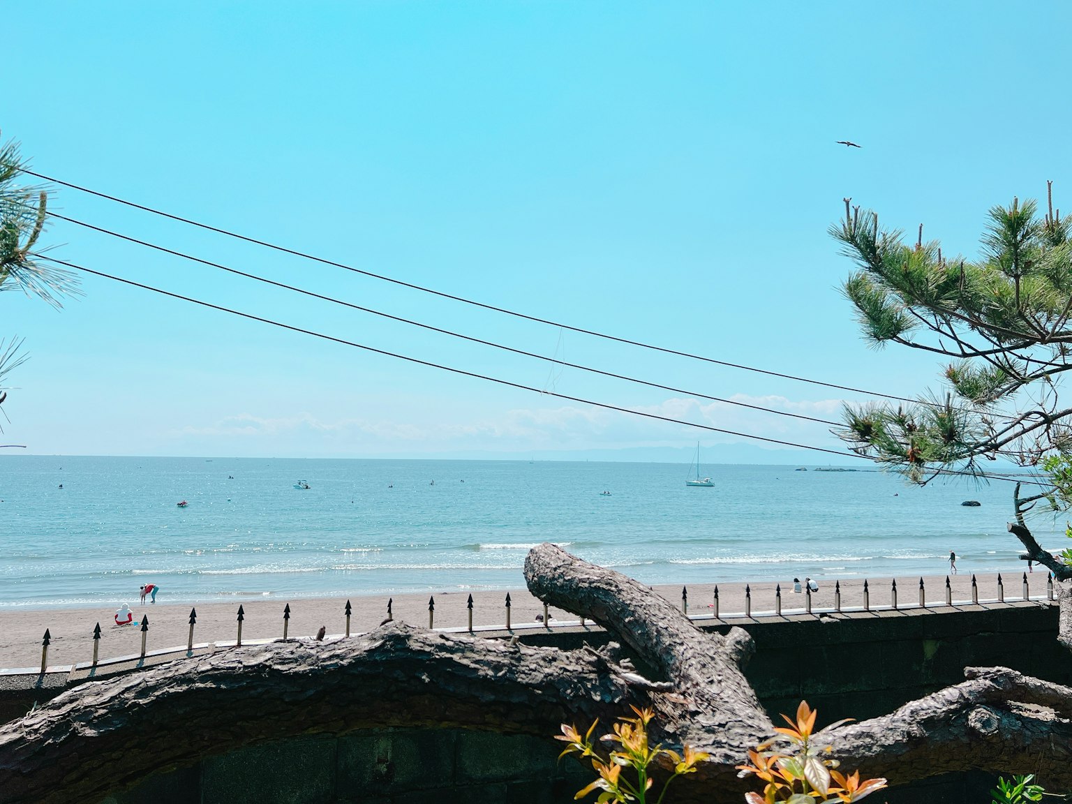 Malersicher Blick auf einen blauen Ozean und Himmel mit Baumzweigen und Stromleitungen