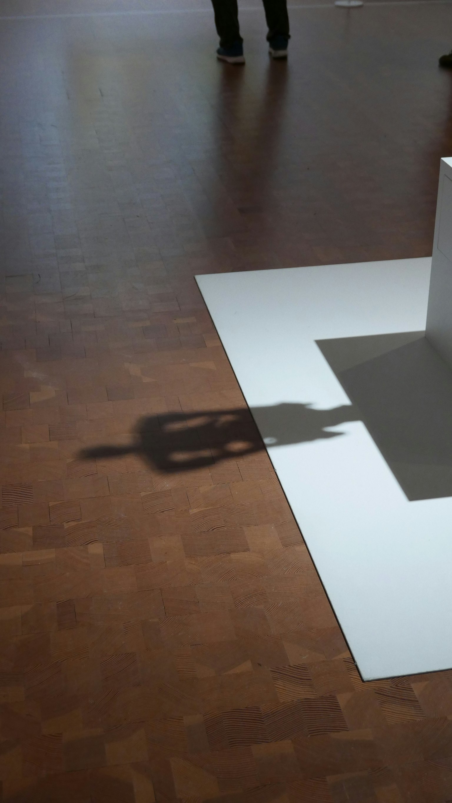 Shadow of a sculpture cast on the floor in a gallery