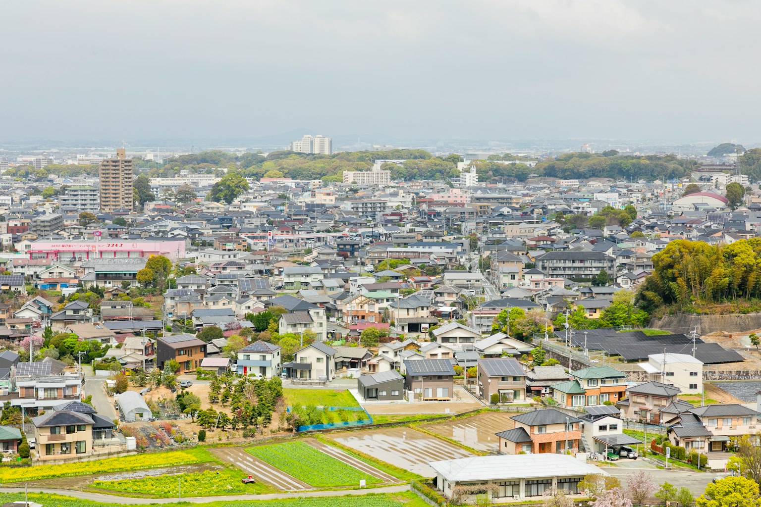 住宅区和绿地的全景图