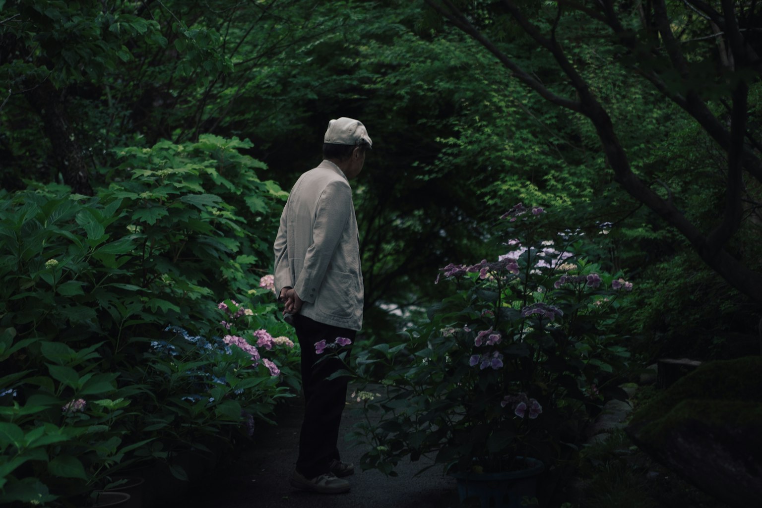 A man in a white shirt observing flowers in a lush garden