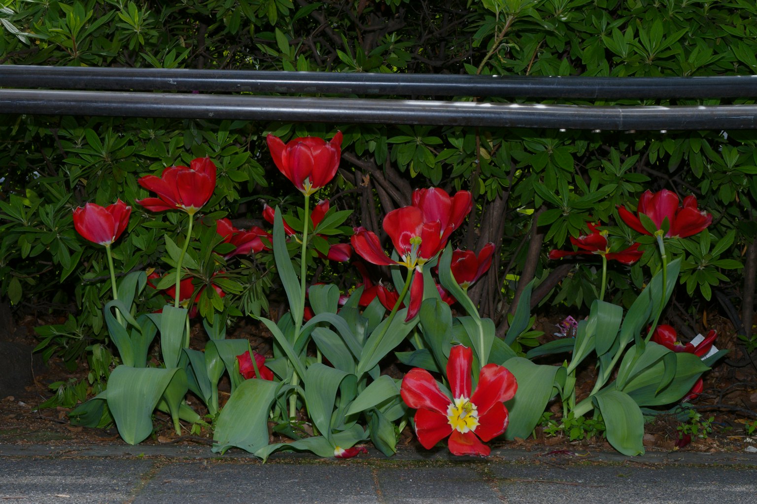 photo-8mNtopj3SNFEN2qZ5ein-image