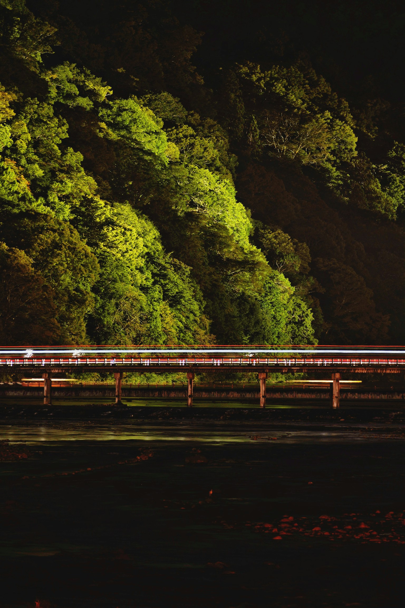 Night view of a bridge with illuminated green trees