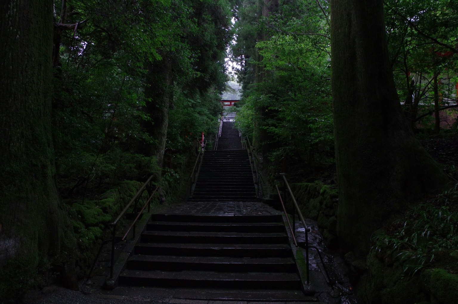 Mysterious landscape with stairs surrounded by lush greenery