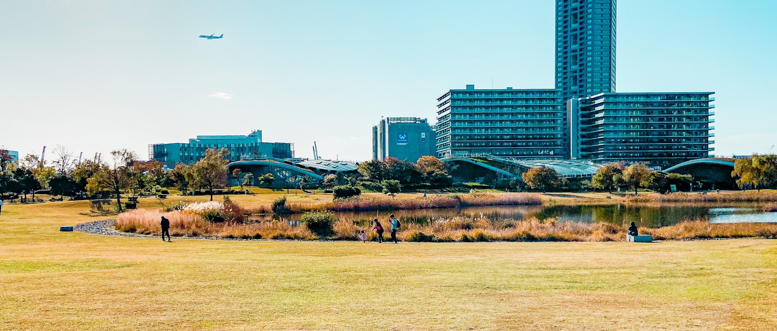 Stadtparklandschaft mit Hochhäusern im Hintergrund