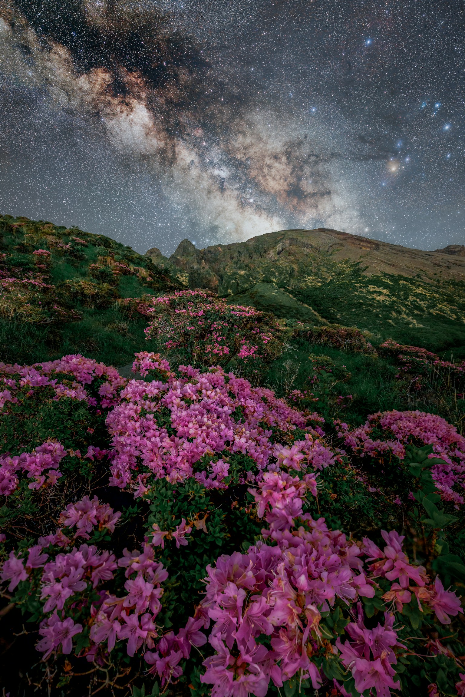 photo-8n3yodAd9rJkmEhRohsw-image