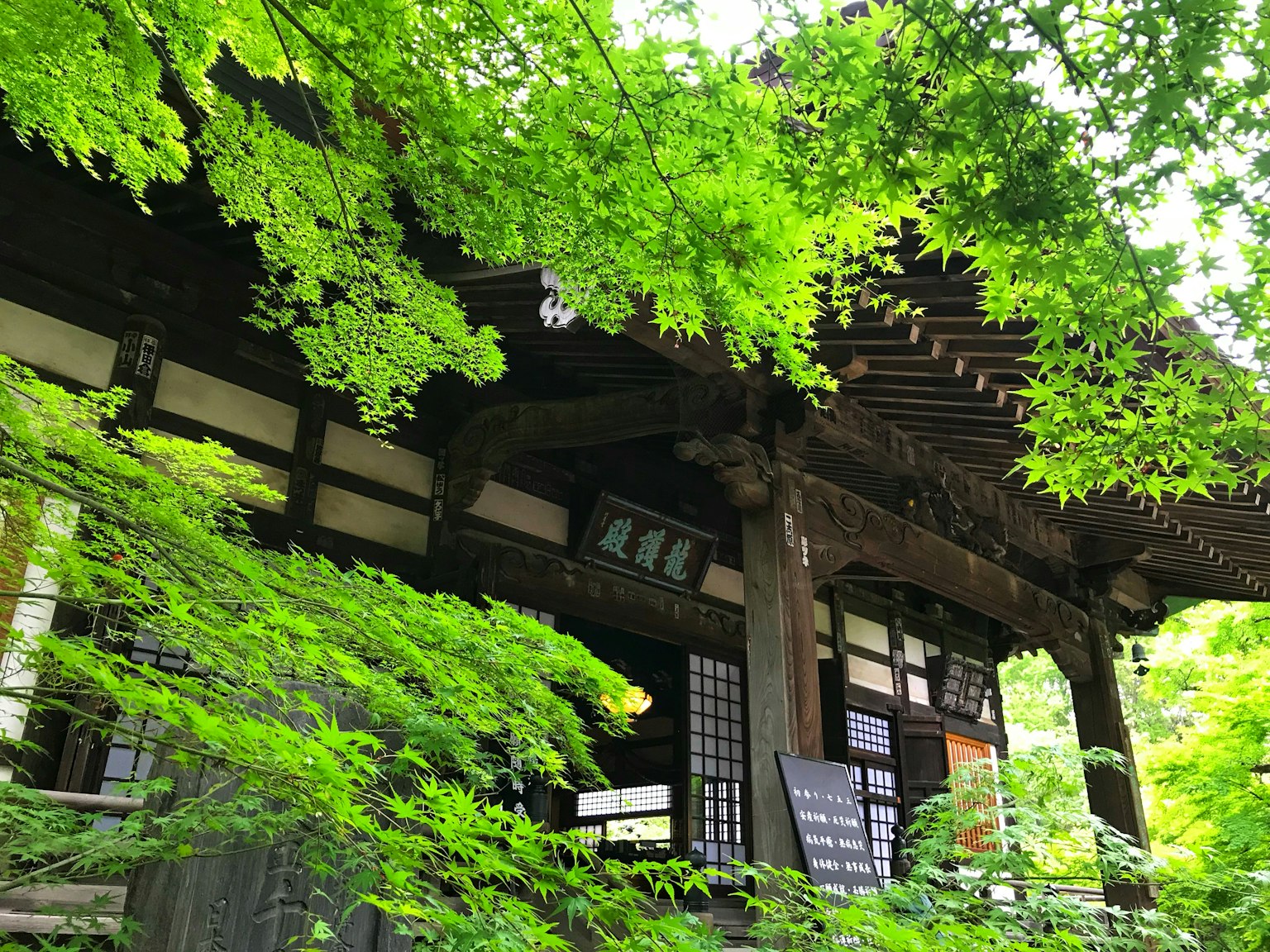 被郁郁葱葱的绿叶环绕的传统日本建筑