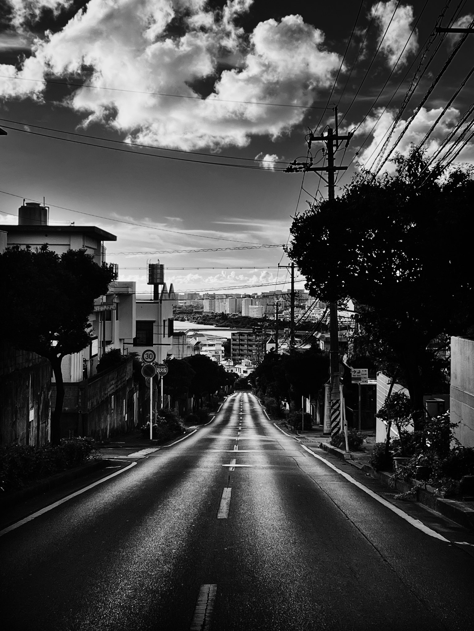 Vista en blanco y negro de una carretera sinuosa flanqueada por árboles y edificios
