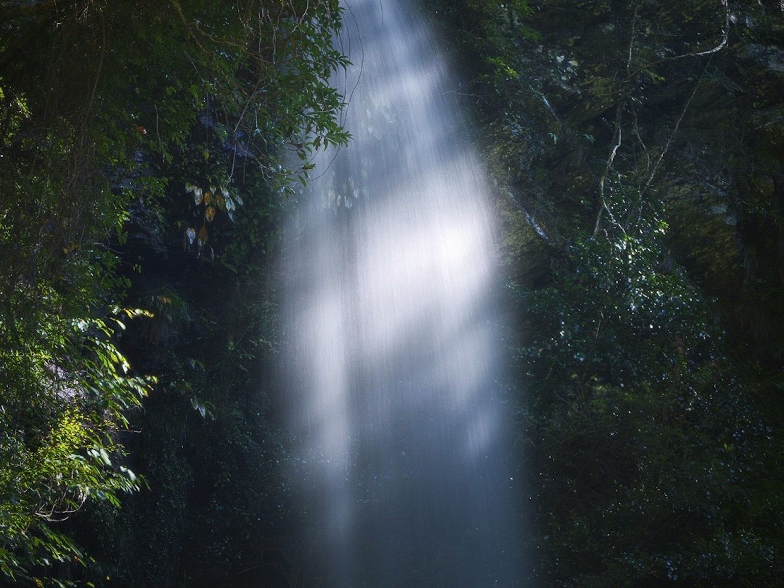 緑に囲まれた滝の流れが美しい光を反射している