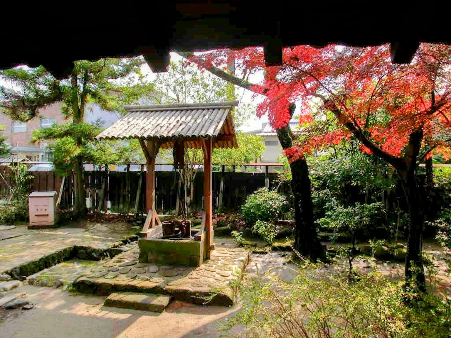 美丽的日本庭院中的传统水井和鲜艳的秋叶