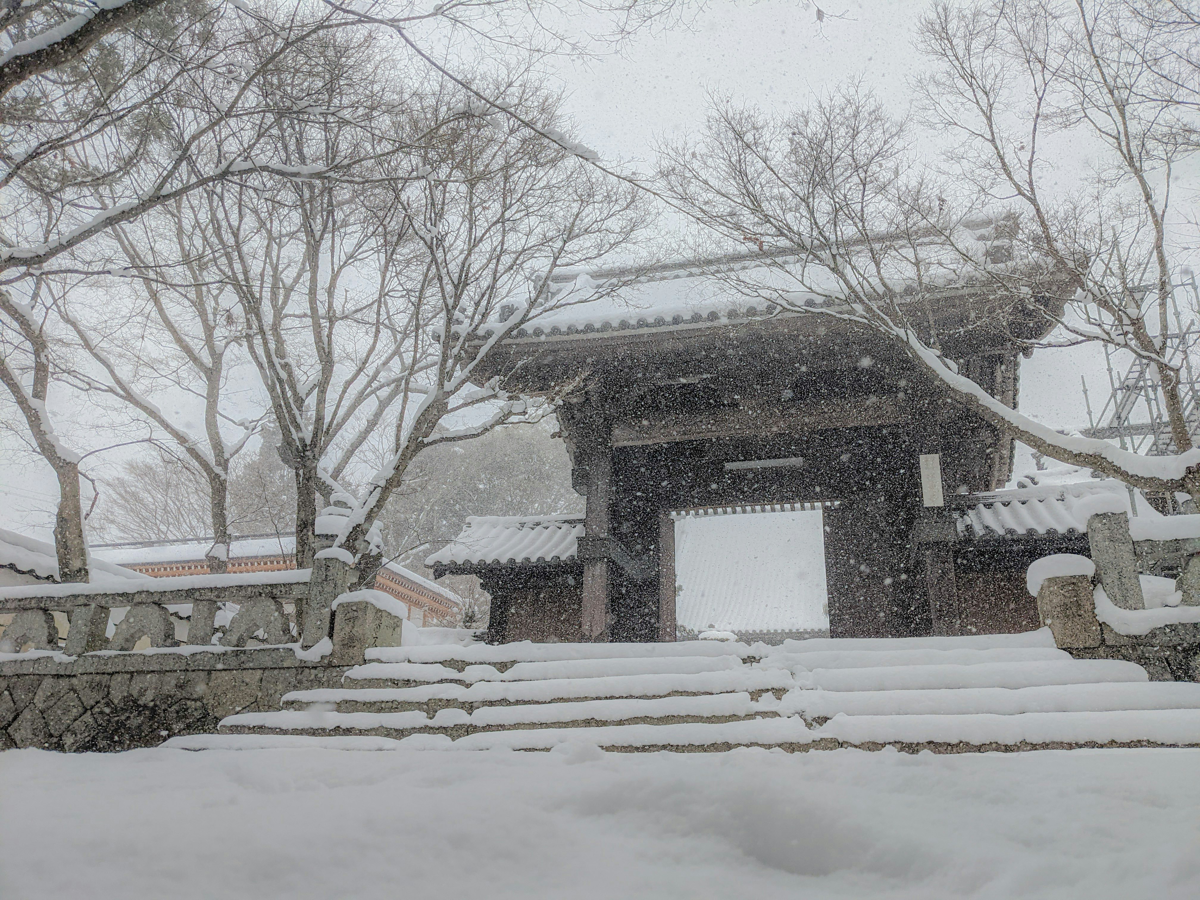 雪の降る寺の山門と石段